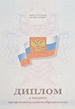 Техникум или колледж <br> 2011-2013 год